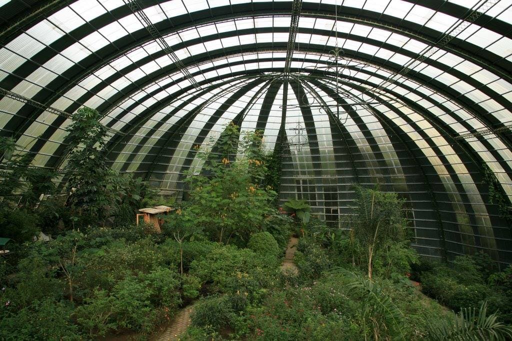 Full Day Trip to Selvatura Park