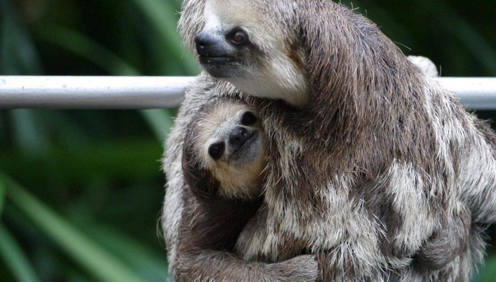 Private tours Costa Rica