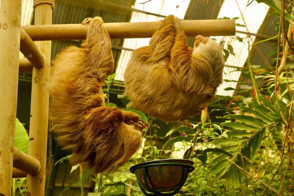 Private tours Costa Rica