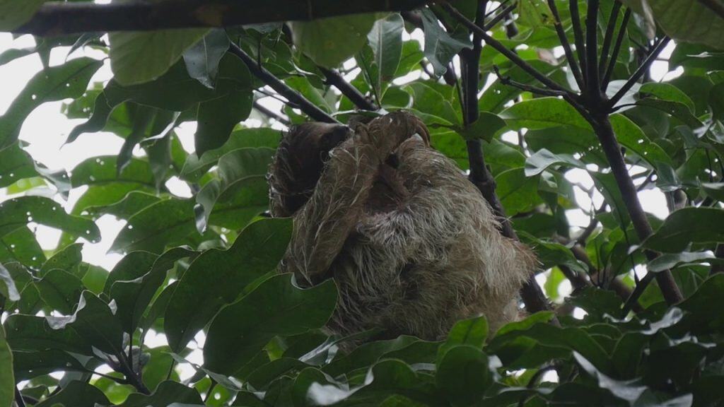 Costa Rica airport transfer