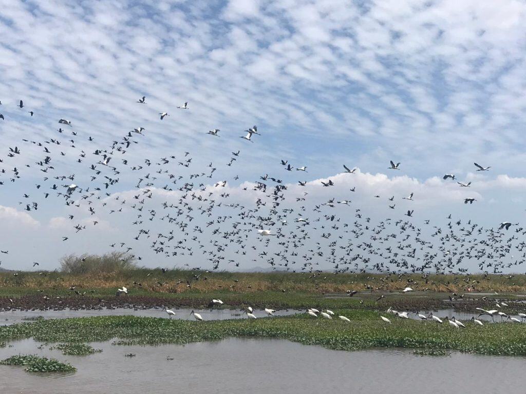 Costa Rica adventure