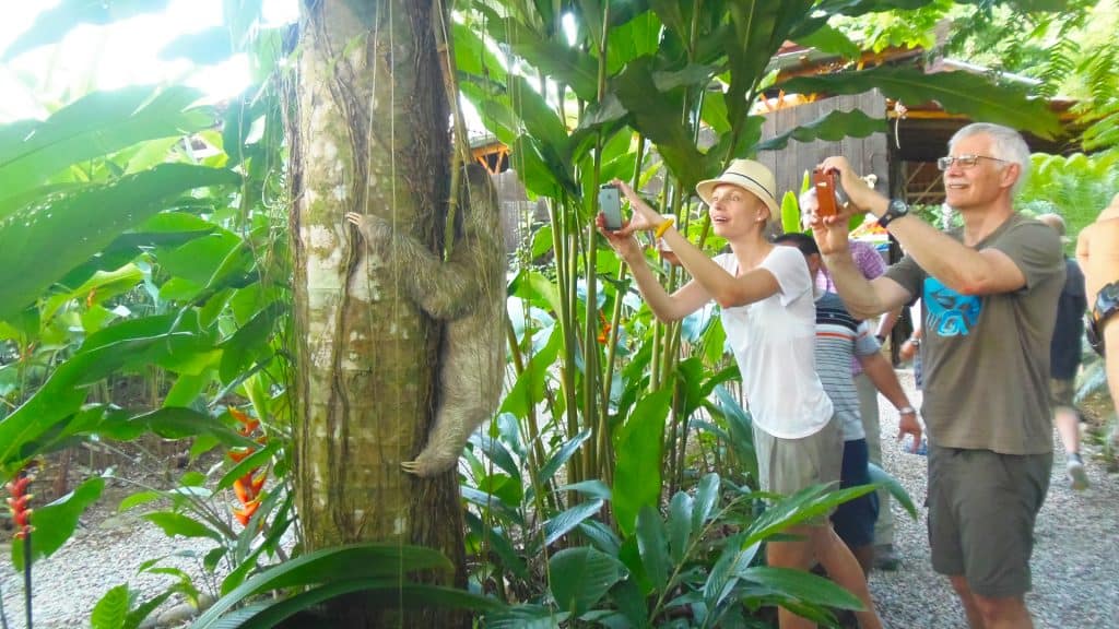 Arenal Volcano Rain Forest and Hot Springs