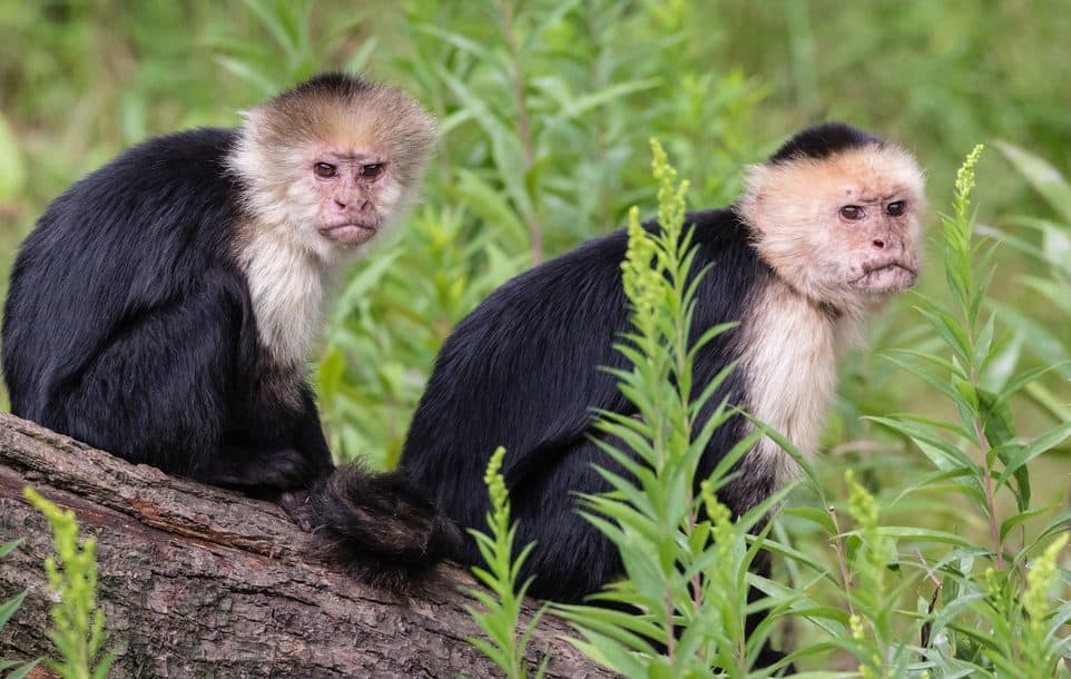 adventure tours in Costa Rica