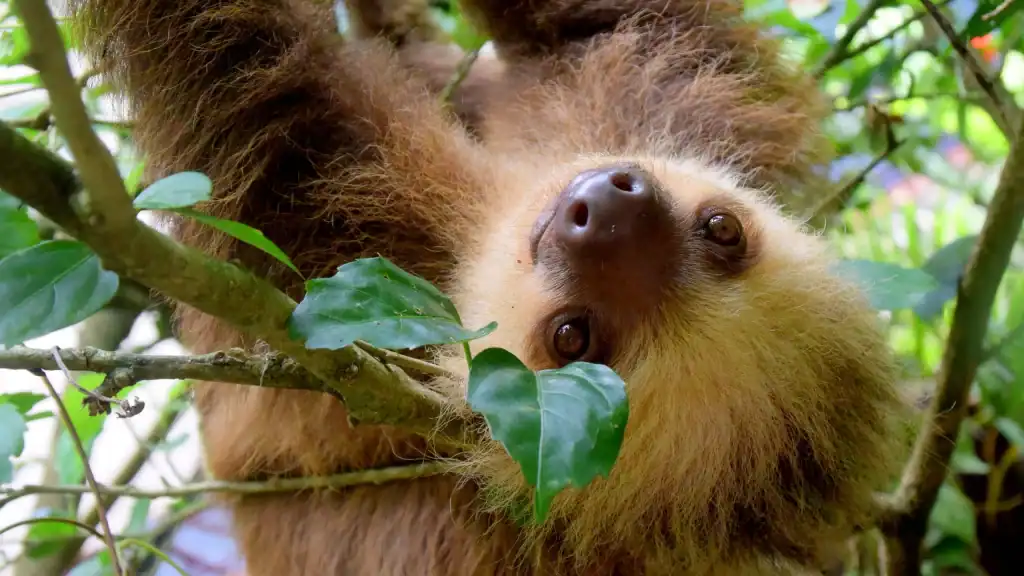 private tours costa rica