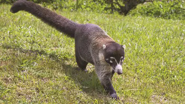 tours in costa rica guanacaste