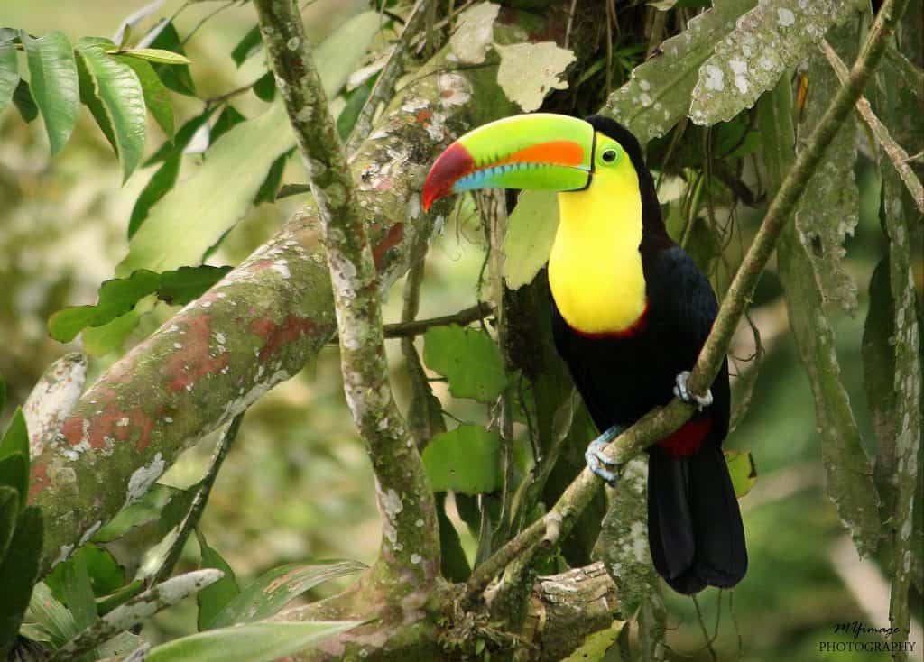 tours in costa rica guanacaste
