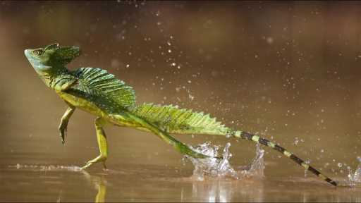 guanacaste costa rica closest airport