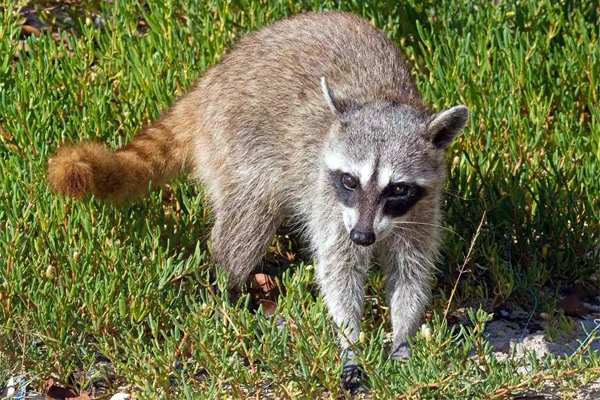 costa rica tours in guanacaste