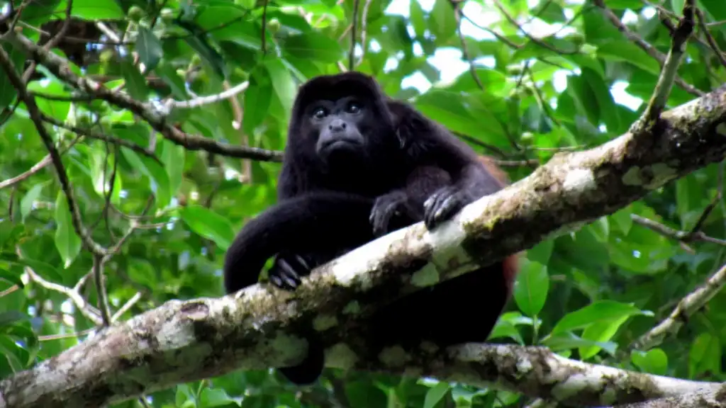 costa rica tours in guanacaste
