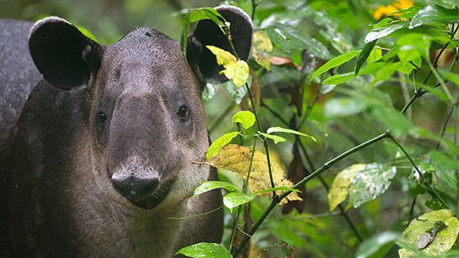 tours in costa rica guanacaste
