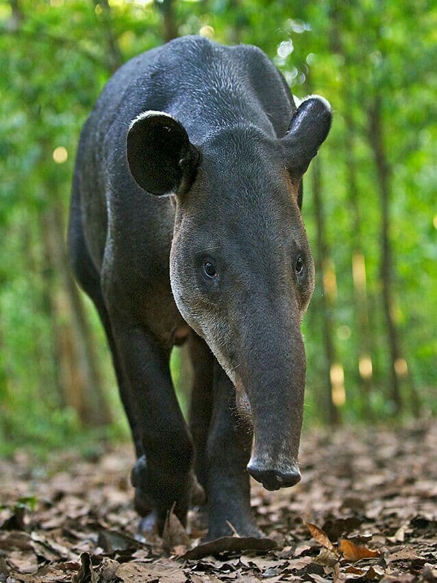 costa rica tours in guanacaste
