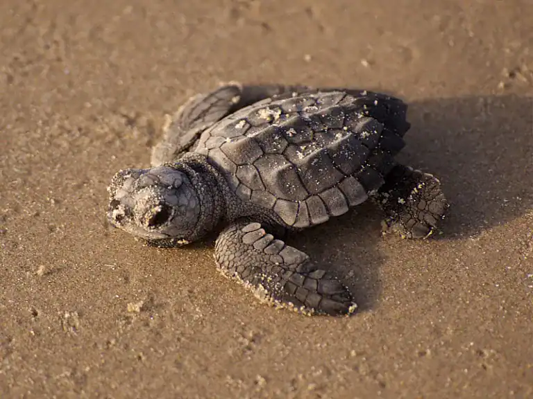 costa rica tour for families