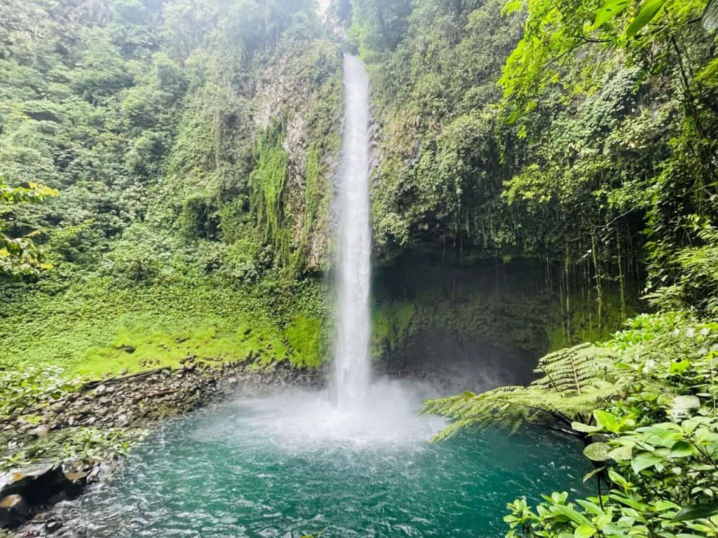 costa rica sloth sanctuary