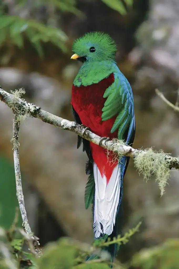 costa rica tour for families