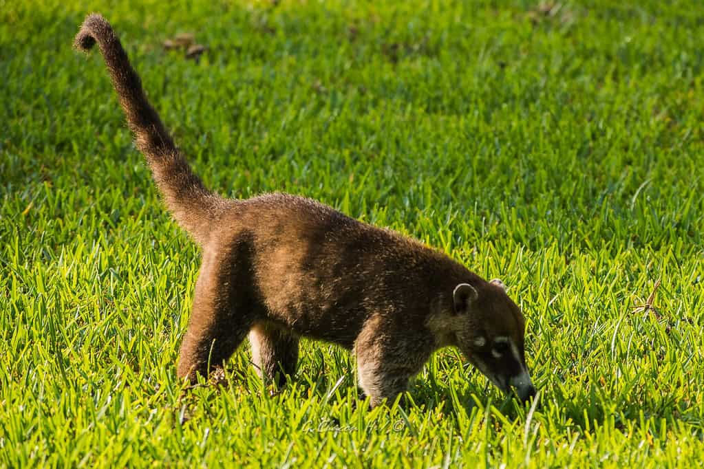 costa rica tour for families