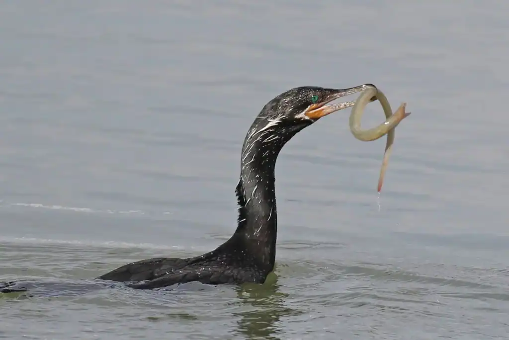 costa rica tours in guanacaste