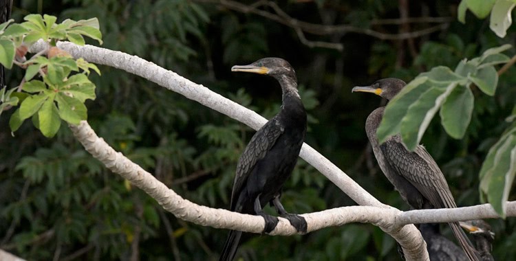 tours in costa rica guanacaste