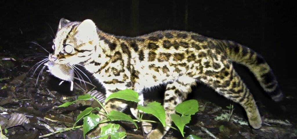 costa rica tours in guanacaste