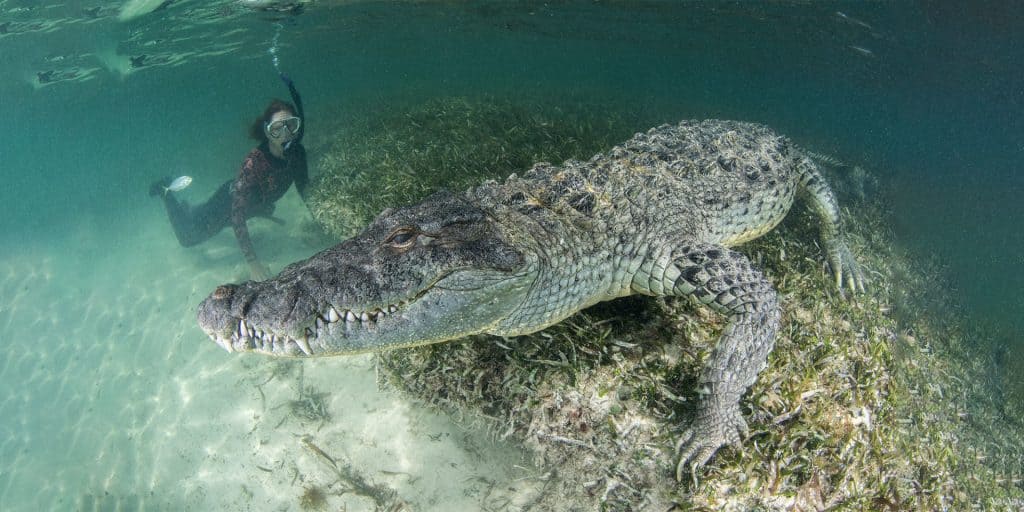 costa rica tours in guanacaste
