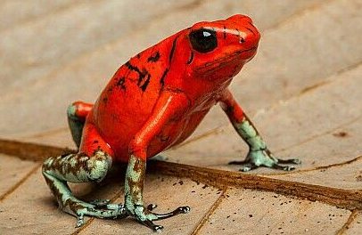 tours in costa rica guanacaste