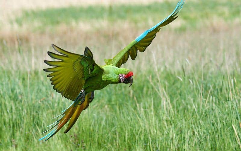 tours in costa rica guanacaste
