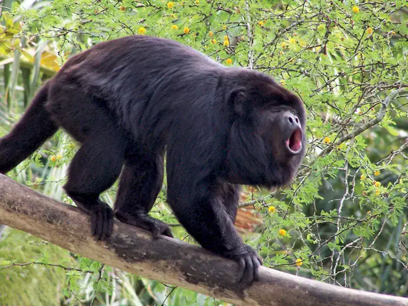 costa rica tours in guanacaste