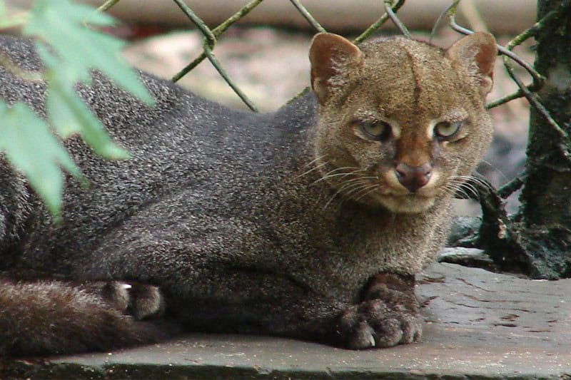 costa rica tour for families