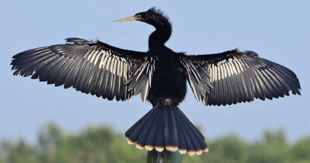 costa rica tours in guanacaste