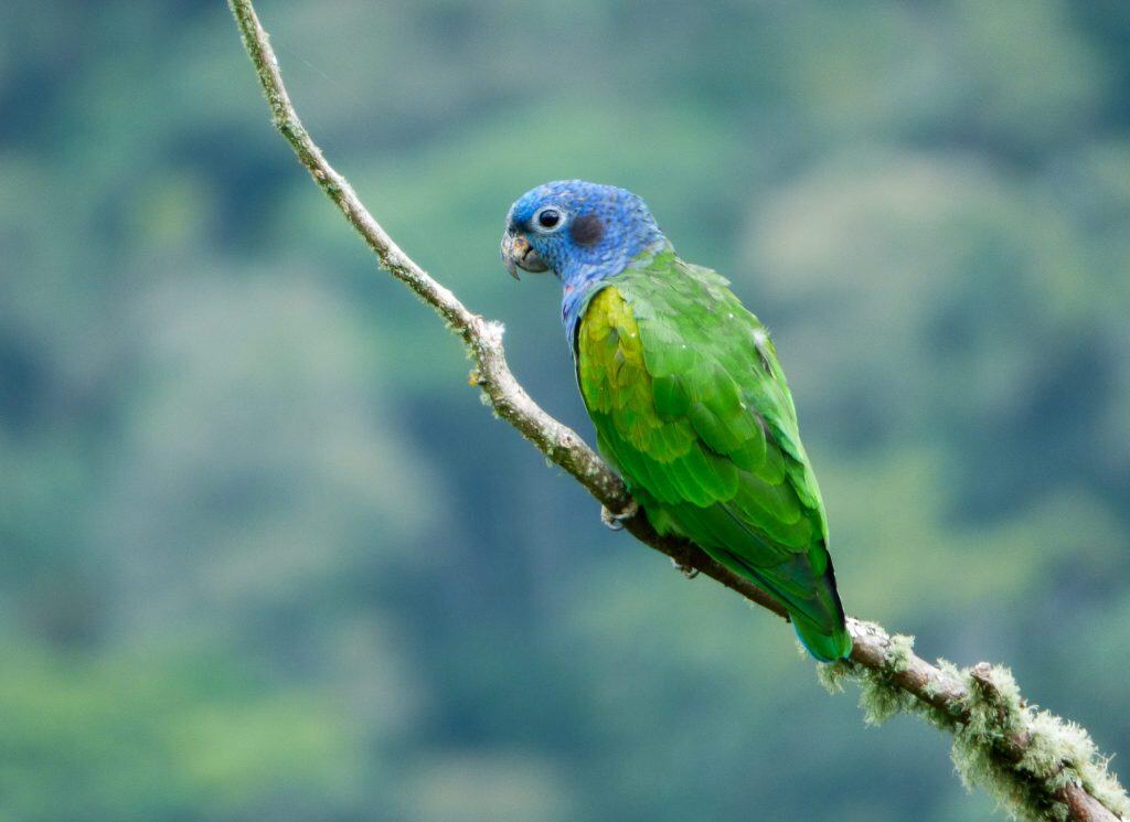 costa rica tours in guanacaste