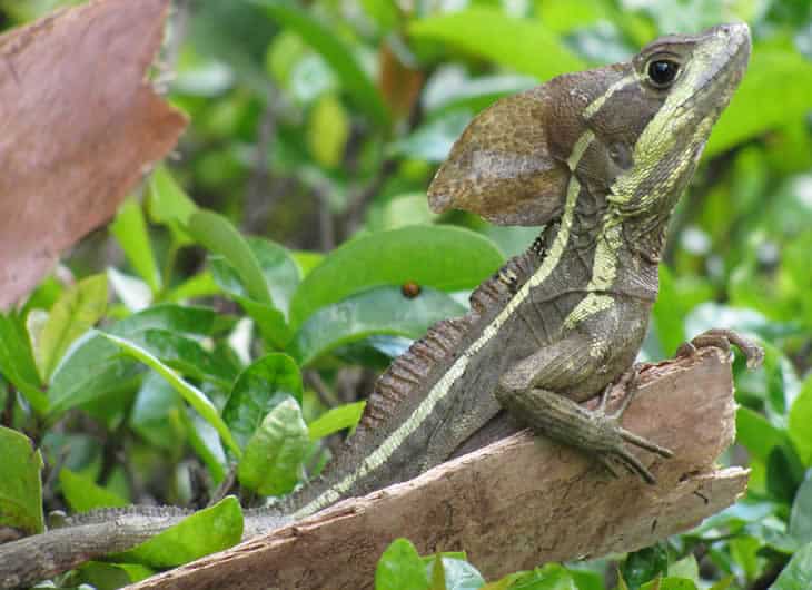 tours in costa rica guanacaste