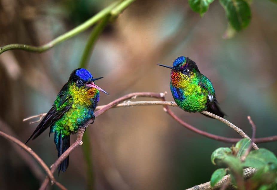 costa rica tours in guanacaste
