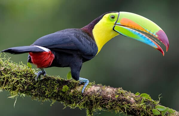 costa rica tours in guanacaste