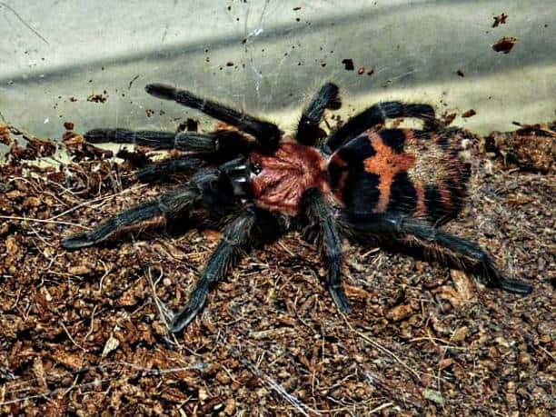 costa rica tours in guanacaste