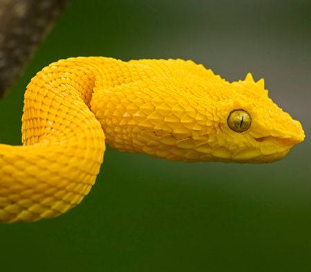 tours in costa rica guanacaste