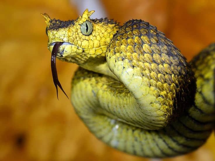 Costa Rica tours in Guanacaste: Get to know the Bocaracá