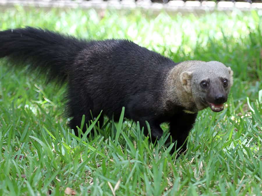 tours in costa rica guanacaste