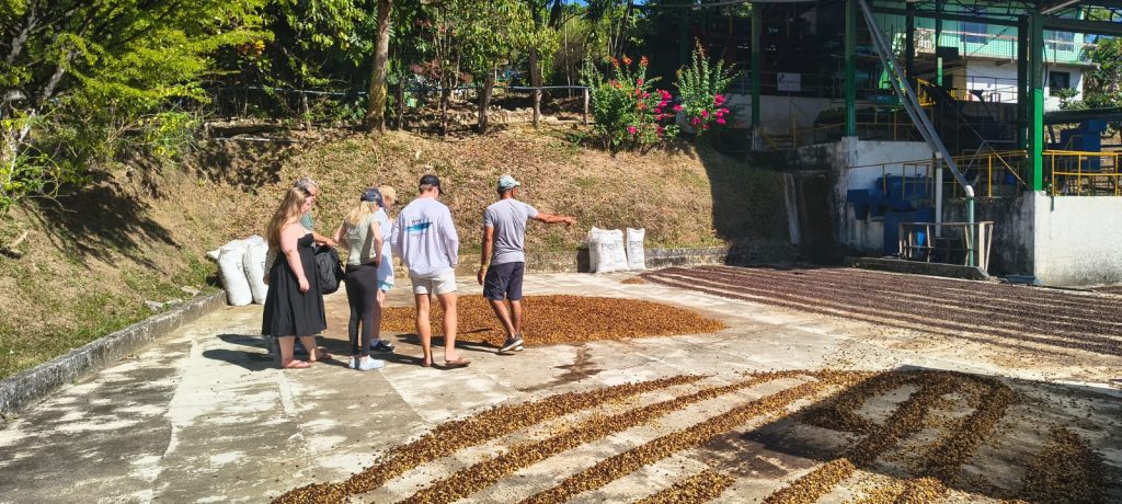 Nicoya Blue Zone Coffee & Traditions Tour