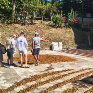 Nicoya Blue Zone Coffee