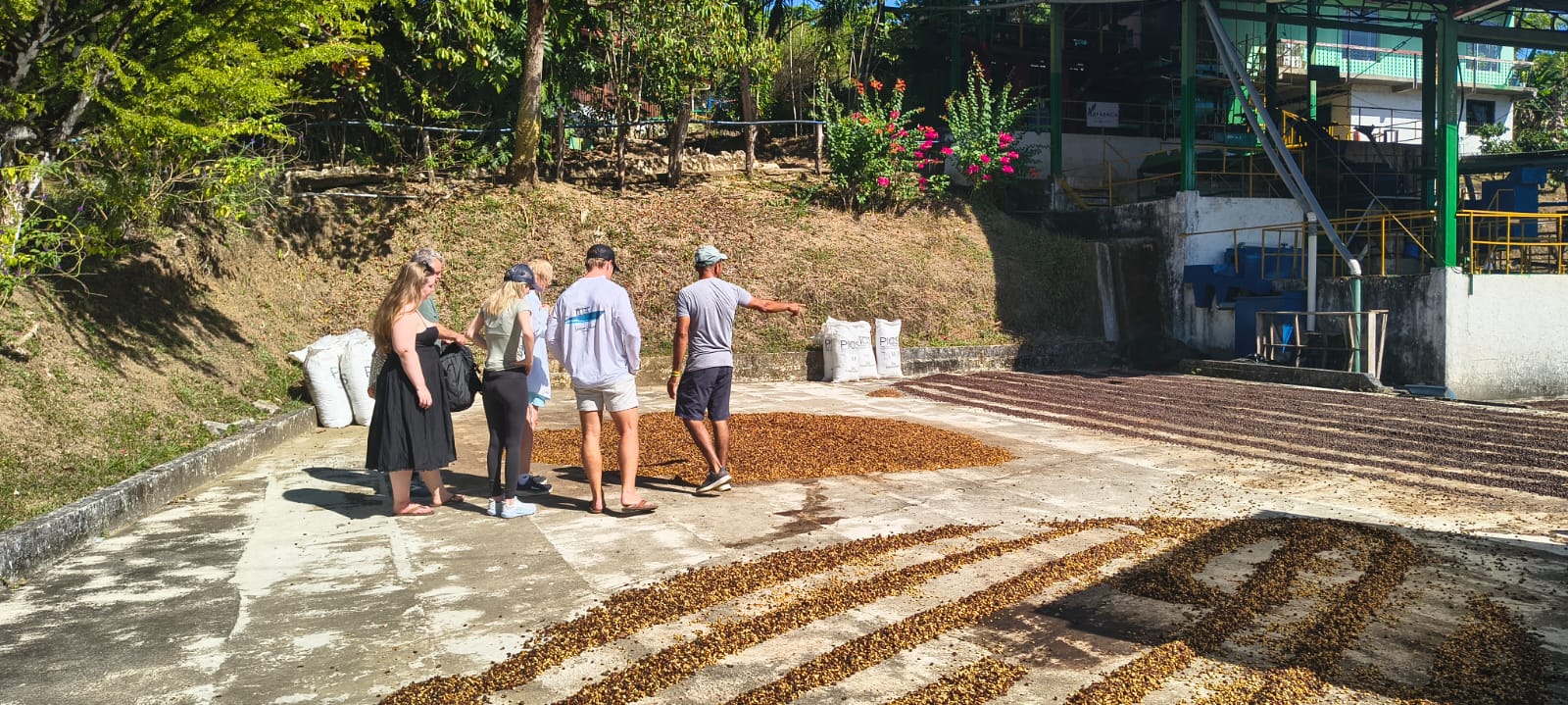 Nicoya Blue Zone Coffee