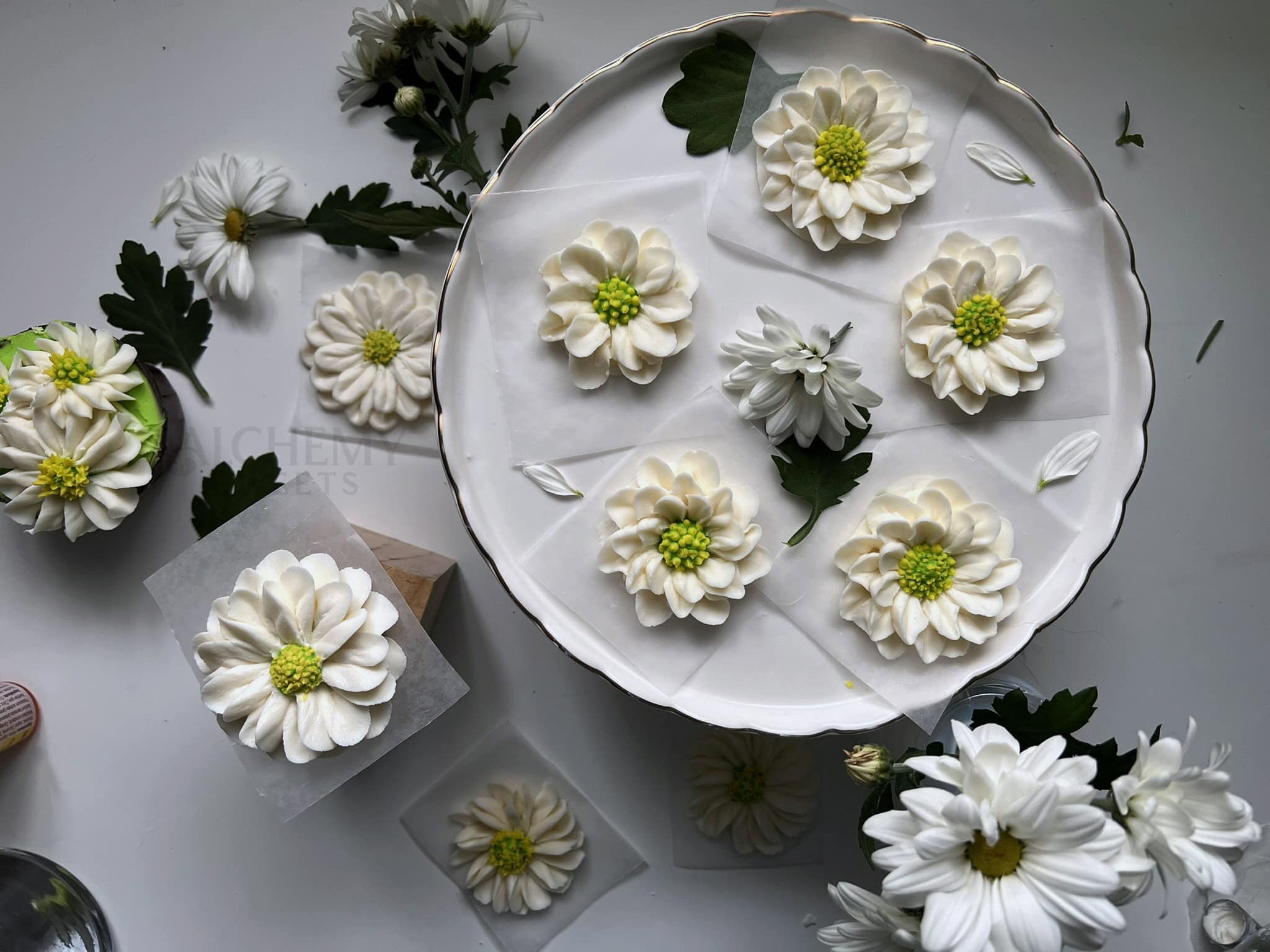 How to Pipe Buttercream Daisies: Step-by-Step ✿