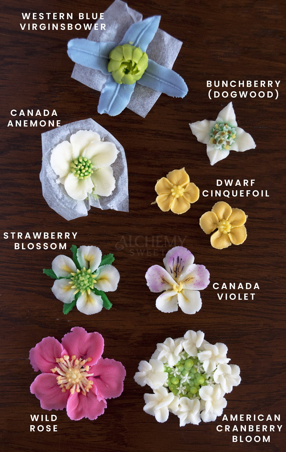 100+ Buttercream Flower Challenge Part 4: Trailside Wildflowers