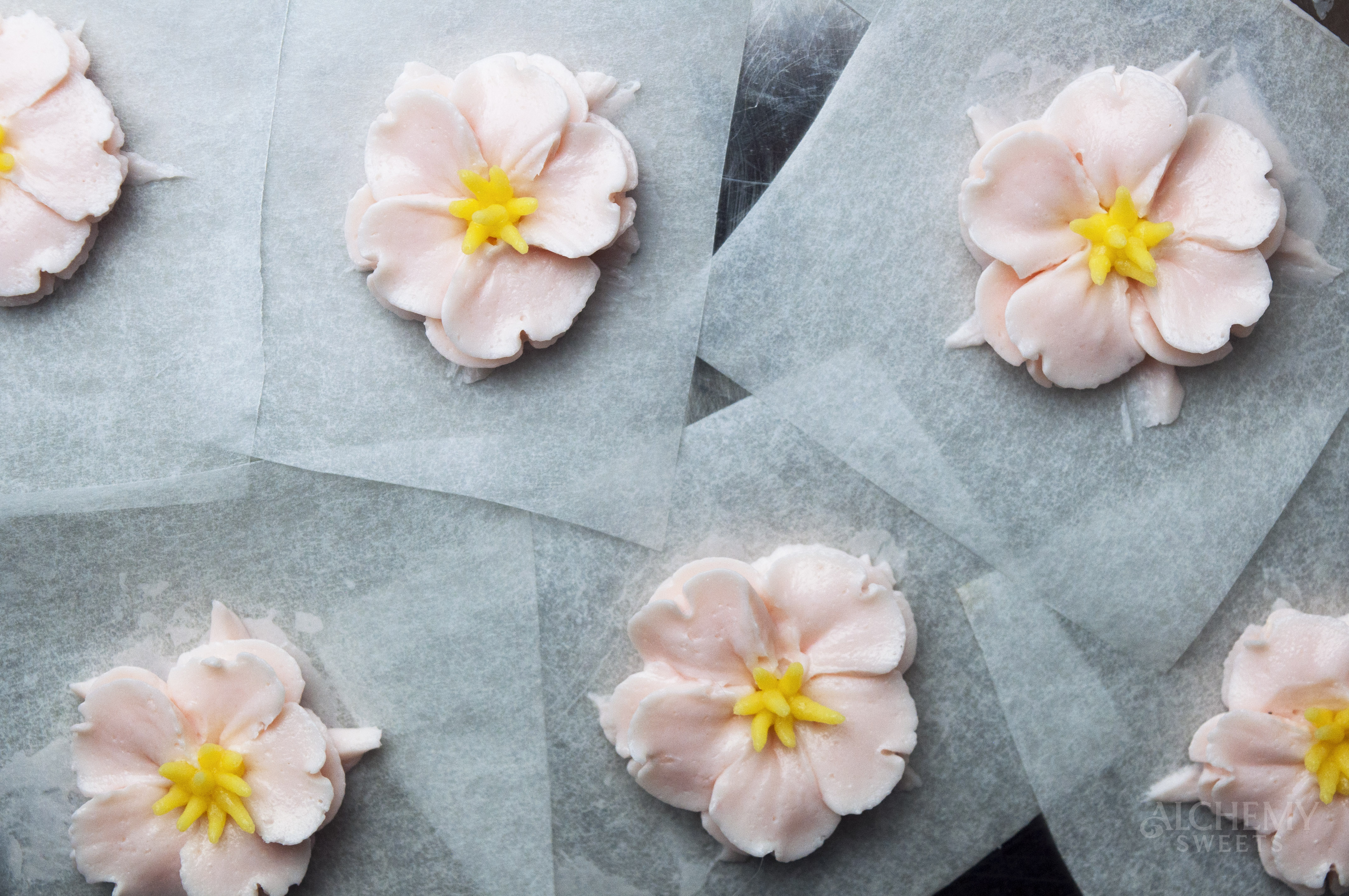 How To Pipe Buttercream Flowers: Cherry Blossoms
