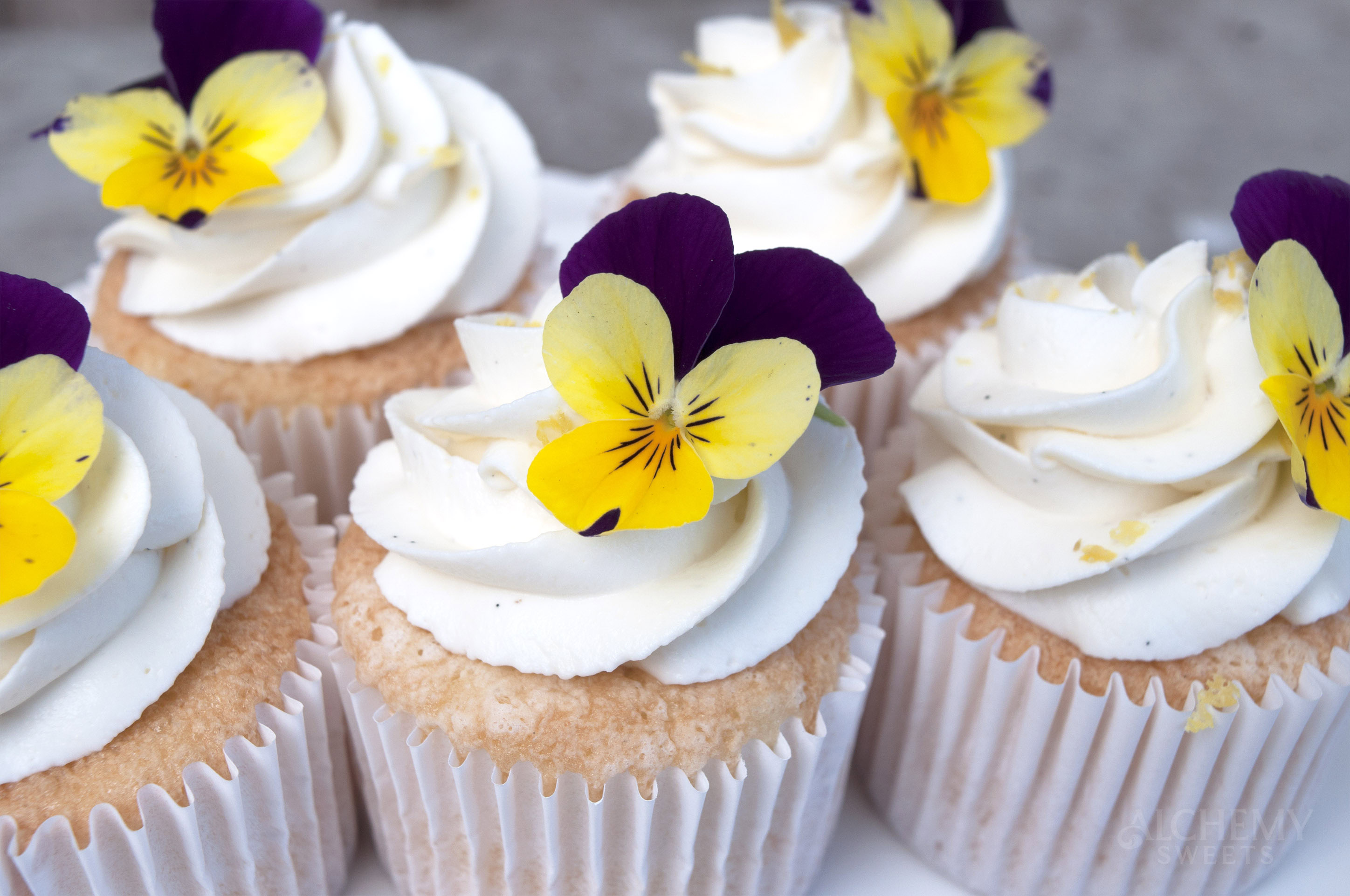 Grandma&rsquo;s Classic Sponge Cupcake Recipe