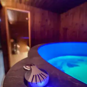 Sauna Thermo Premium cu izolatie si vestiar Sistem wellness complet pentru gradina cu sauna si ciubar