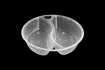 ALFA foil containers ideal for food storage and catering needs. Durable, lightweight, and eco-friend.