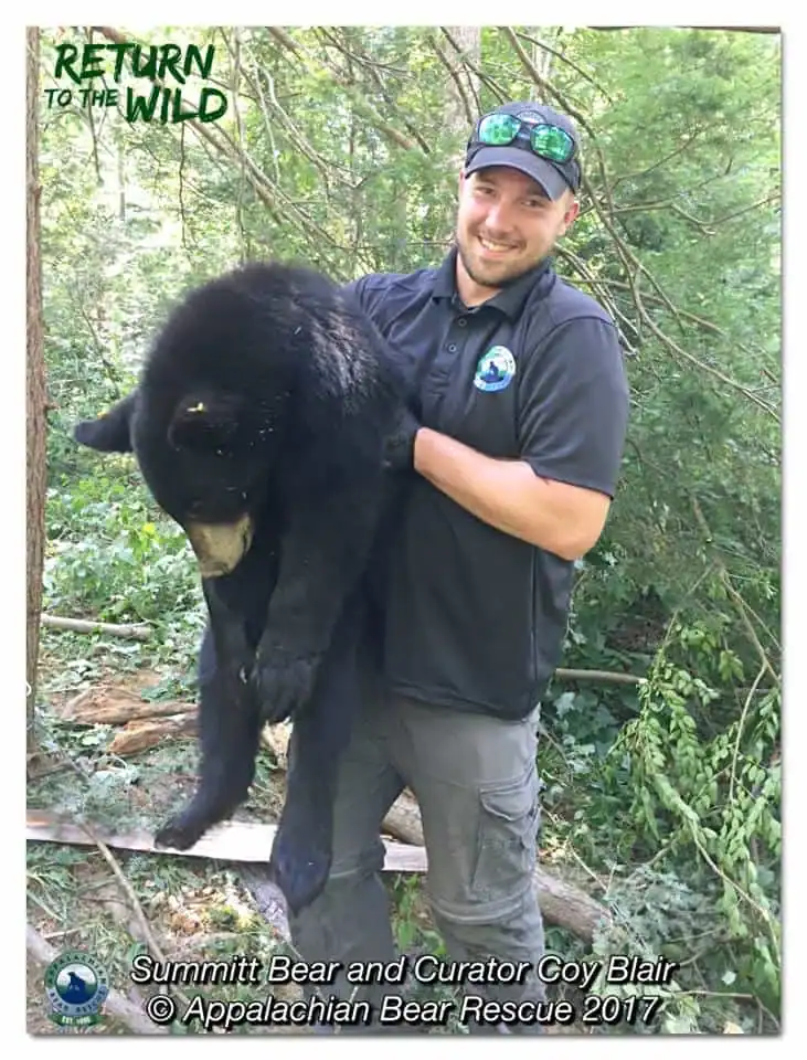 Coyote Blair holding a bear cub in a forest setting.