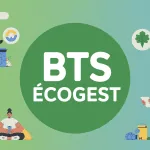 Etudiants ecogest sur projets écologiques