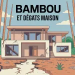 degat bambou maison illustration fissures fondations