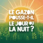 le gazon pousse la nuit ou le jour pelouse verte soleil cycle jour nuit