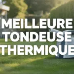 meilleur tondeuse thermique pelouse verte
